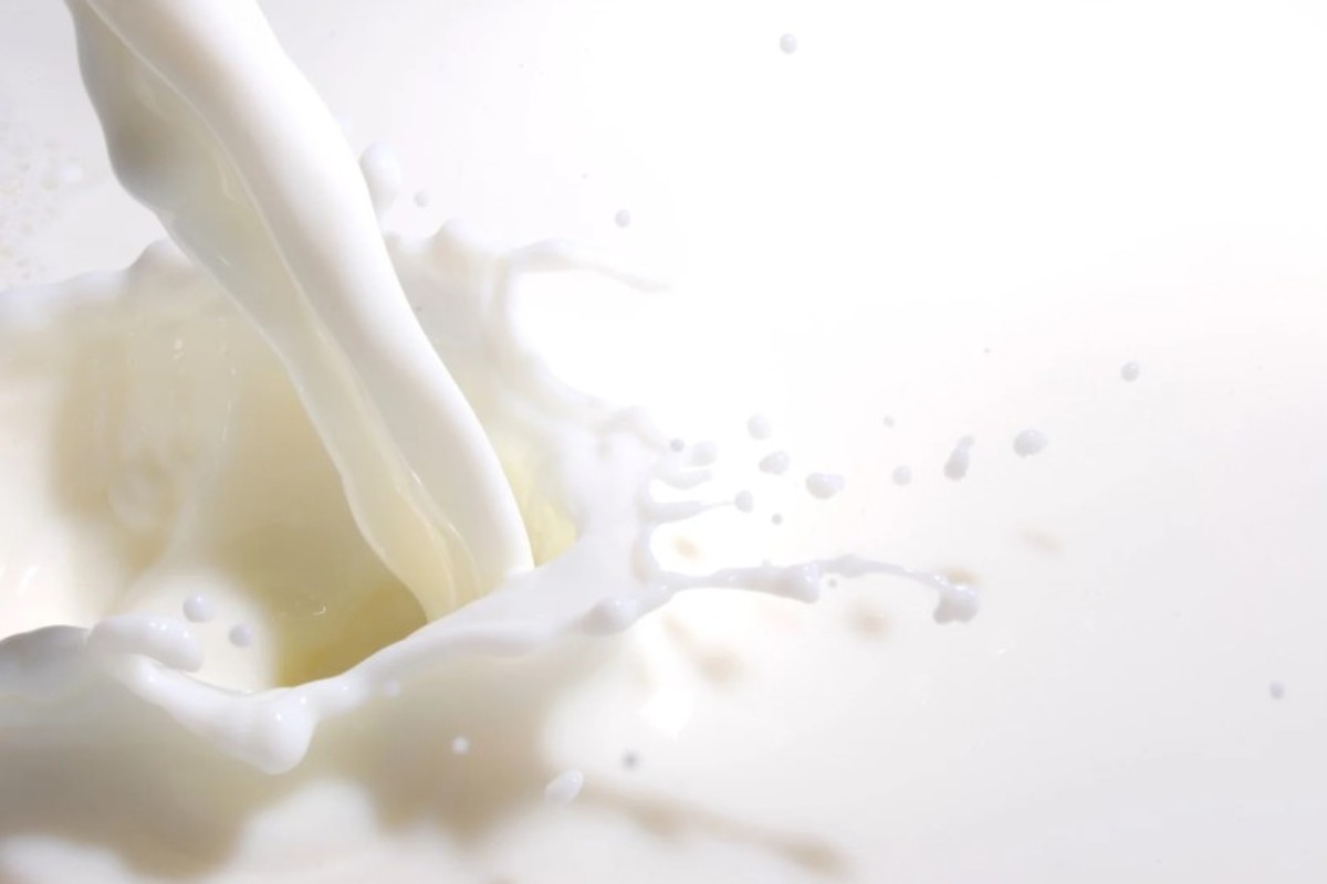 Latte senza lattosio