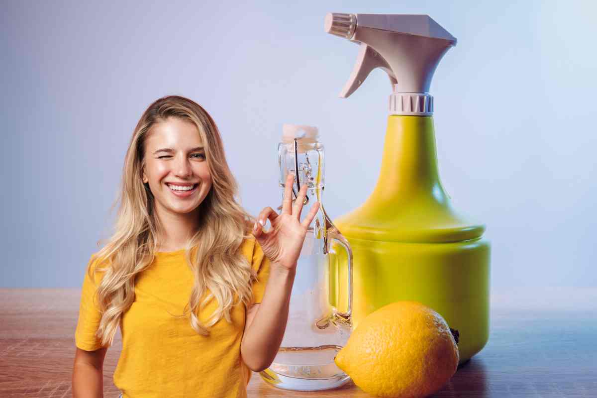 La teglia del forno era nera e incrostata, ora brilla, ecco cosa ho usato