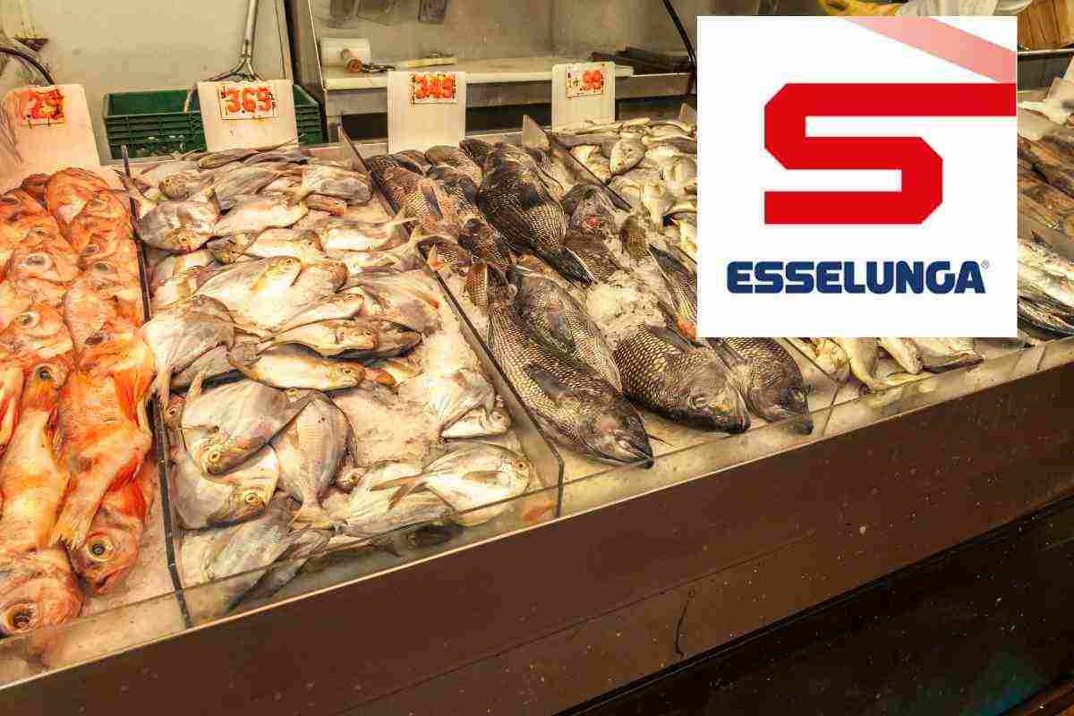 Da dove arriva davvero il pesce dell’Esselunga?, tutti i dettagli